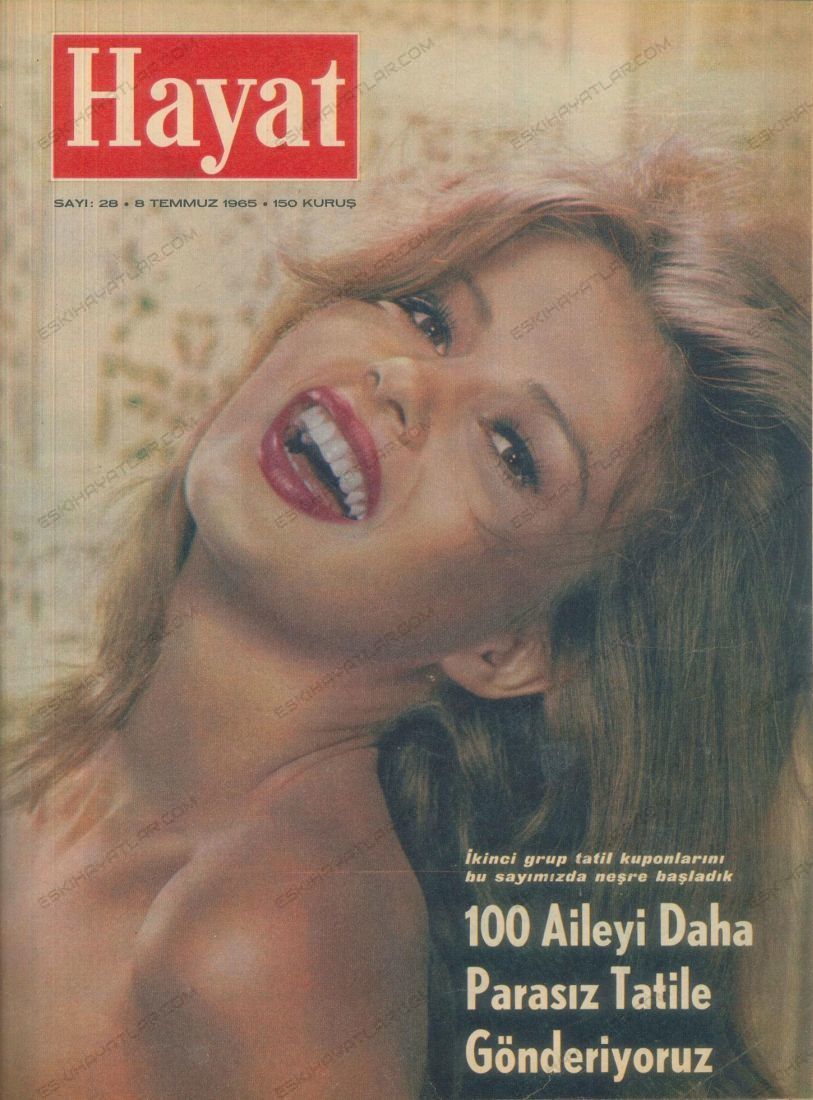 0263-altmisli-yillarda-istanbul-trafigi-1965-hayat-dergisi (6)